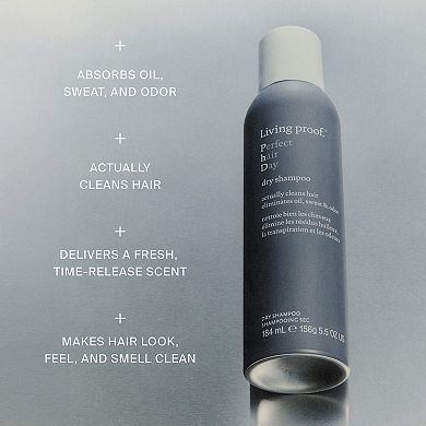 Perfect hair Day Dry Shampoo Hair Gift Set