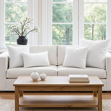 Great Ambitions Premium Rectangular Pillow Insert - 12x20 Inch Sham Stuffer for Couch & Bed 1pk