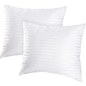 Great Ambitions Machine Washable Pillow Inserts, 20x20 Inch, Premium Polyester Fill, White 2 pk