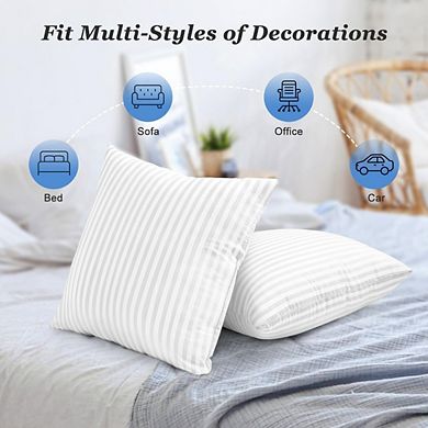 Great Ambitions Machine Washable Pillow Inserts, 20x20 Inch, Premium Polyester Fill, White 2pk