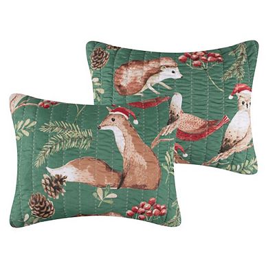 Willow Luxurious Super Soft Comfortable Pillow Sham