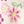 Ivory Doodle Floral