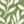 Sage Leaves