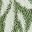 Sage Leaves