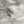 White Bark Camo