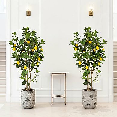 ANIXOL Artificial Lemon Trees