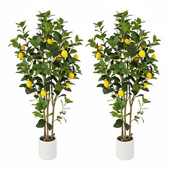 ANIXOL Artificial Lemon Trees