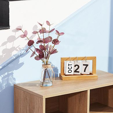 ANIXOL Eucalyptus Stems in Glass Vases Set