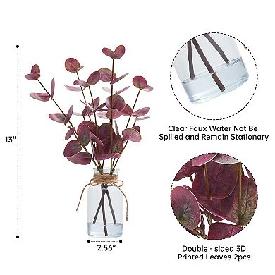 ANIXOL Eucalyptus Stems in Glass Vases Set