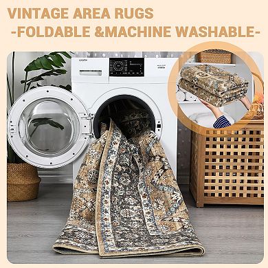 ANIXOL Washable Persian Area Rug