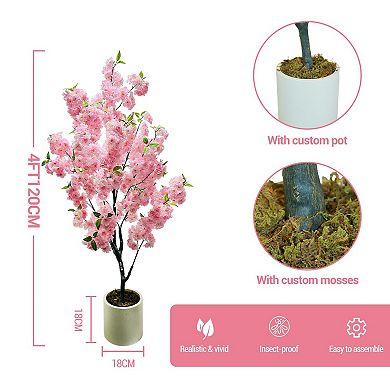 ANIXOL 5ft Pink Cherry Blossom Tree in Pot
