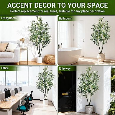 ANIXOL Artificial Olive Tree with White Pot