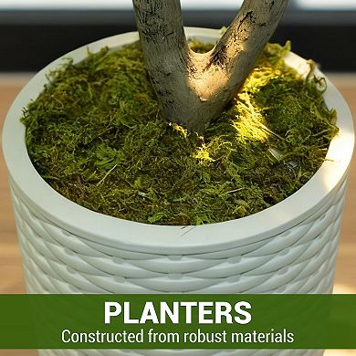 ANIXOL 7-Ft Artificial Olive Tree in Pot