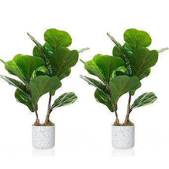 Artificial Fiddle Leaf Fig Tree 2-Pack, Faux Ficus Lyrata in White Planters