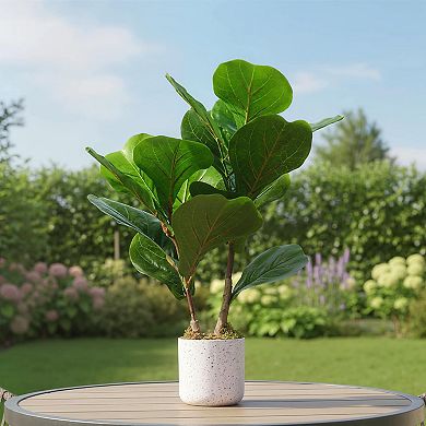 Artificial Fiddle Leaf Fig Tree 2-Pack, Faux Ficus Lyrata in White Planters