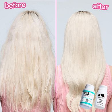 Damaged Hair Rescue Minis Gift Set