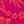 Orange Pink