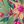 Green Pink