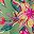 Green Pink