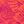 Orange Pink