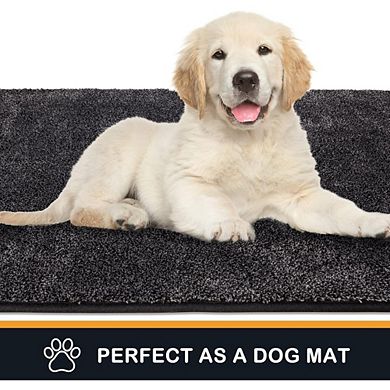 Great Ambitions 24"x35.5" Dirt Trapping Door Mat, Non-Slip & Machine Washable, Charcoal