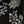 Black Fancy Floral