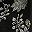 Black Fancy Floral