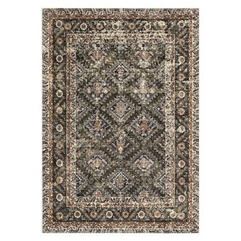 Area Rugs, Washable Rugs for Living Room, Vintage Boho, Durable Low Pile Non-Slip Area Rug