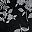 Black Stitch Floral