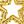 Hollow Star Gold