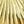 Shell Gold