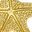 Starfish Gold