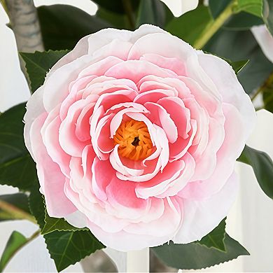 2 Pack Artificial Camellia Tree with Blooming Flowers
