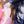 Blue Pink Lush Floral