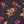Dk Purple Petal Floral