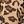 Tan Alice Leopard