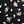 Black Pink Floral