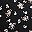 Black Pink Floral