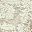 Contemporary Damask