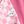Kitty Checker Print