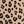 Natural Leopard