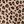 Natural Leopard