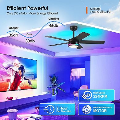 Downrod Ceiling Fan with LED Light Balanced Airflow Quiet DC Motor Six Speed App Control