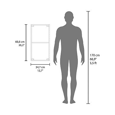DEPOT E-SHOP Roxbury Medicine Cabinet, 1 Door, 2 Shelves