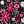 Blk Tight Floral
