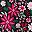Blk Tight Floral