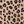 Natural Leopard