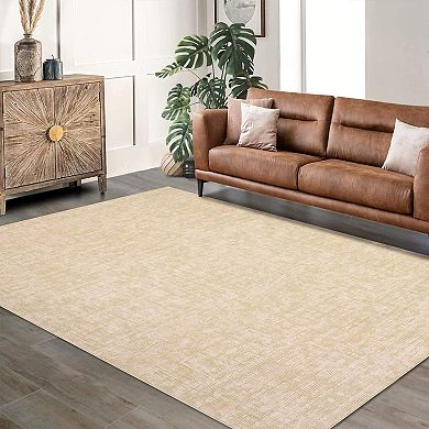 ANIXOL Modern Washable Area Rug