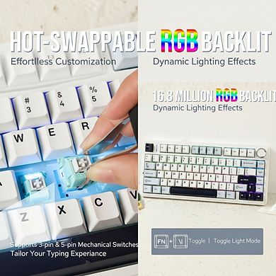 Wireless Hot Swappable Gaming Keyboard with Gasket Mount Knob Control and RGB Lighting