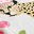Cheetah Queens White